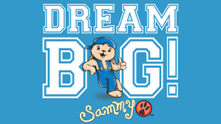 Dream Big Financial Education Song and Story Strategy